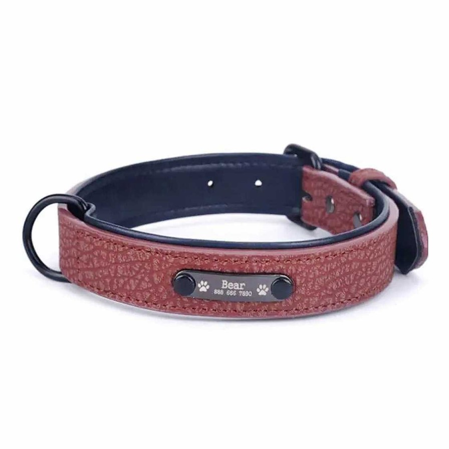 Hund Monkimau Halsb Nder & Geschirre | Halsband Mit Gravur Wasserfest Braun S